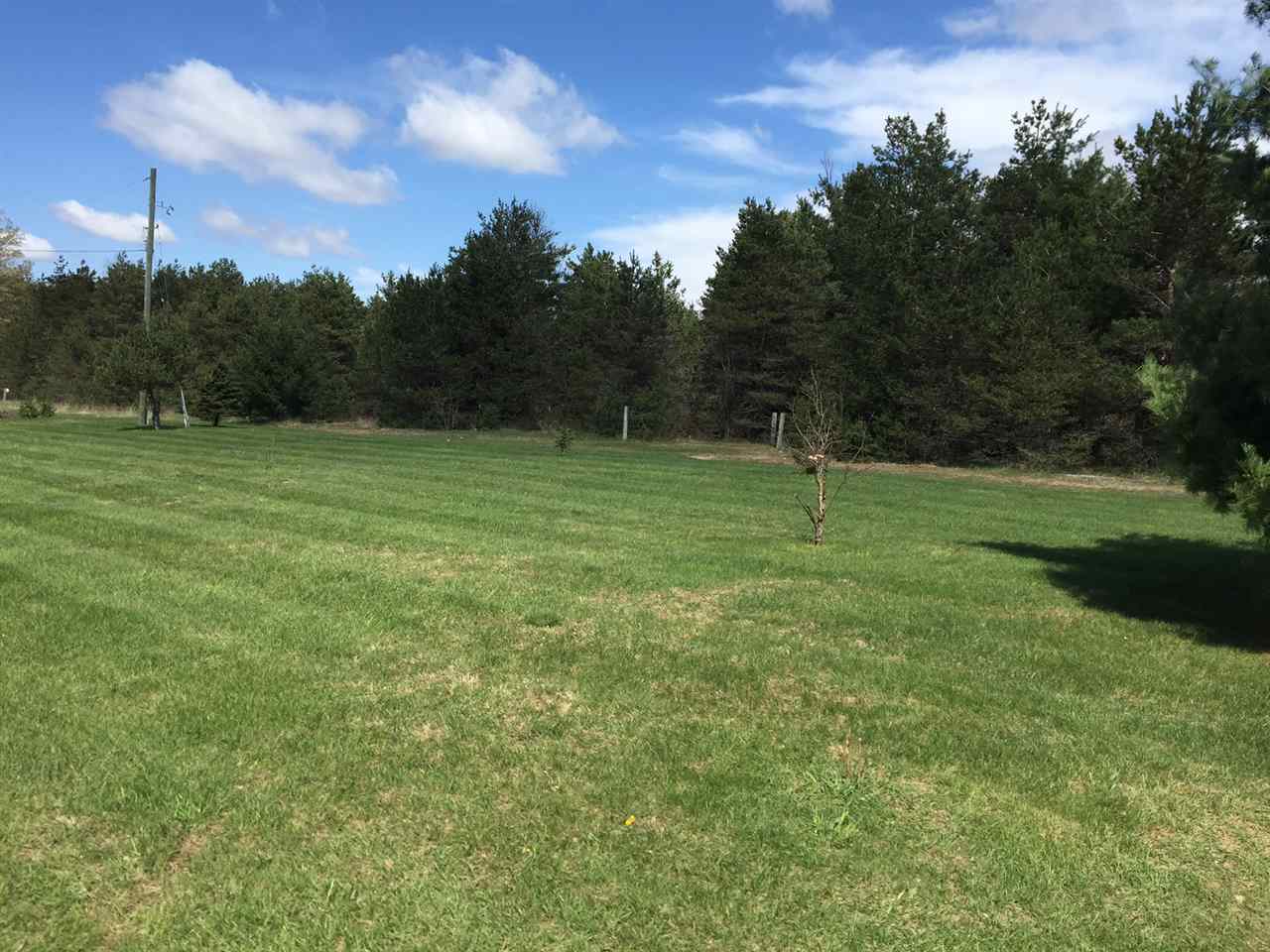 3323 No 45 1/2 Road Manton, MI 49663 - Photo 6 of 59 1831770-5.JPG