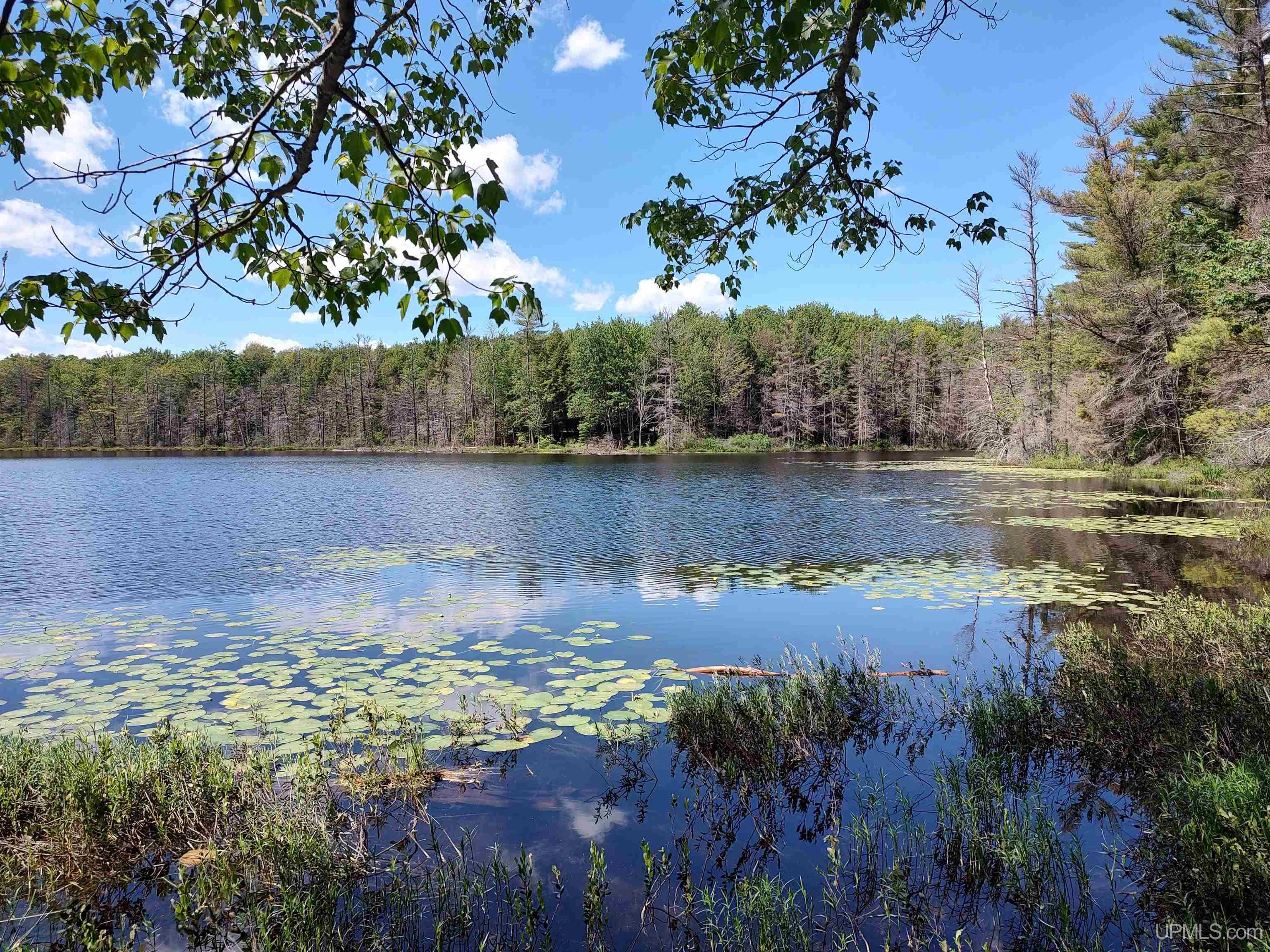 16 Mile Lake Road Munising, MI 49862 - Photo 2 of 12 Gallery Image 2