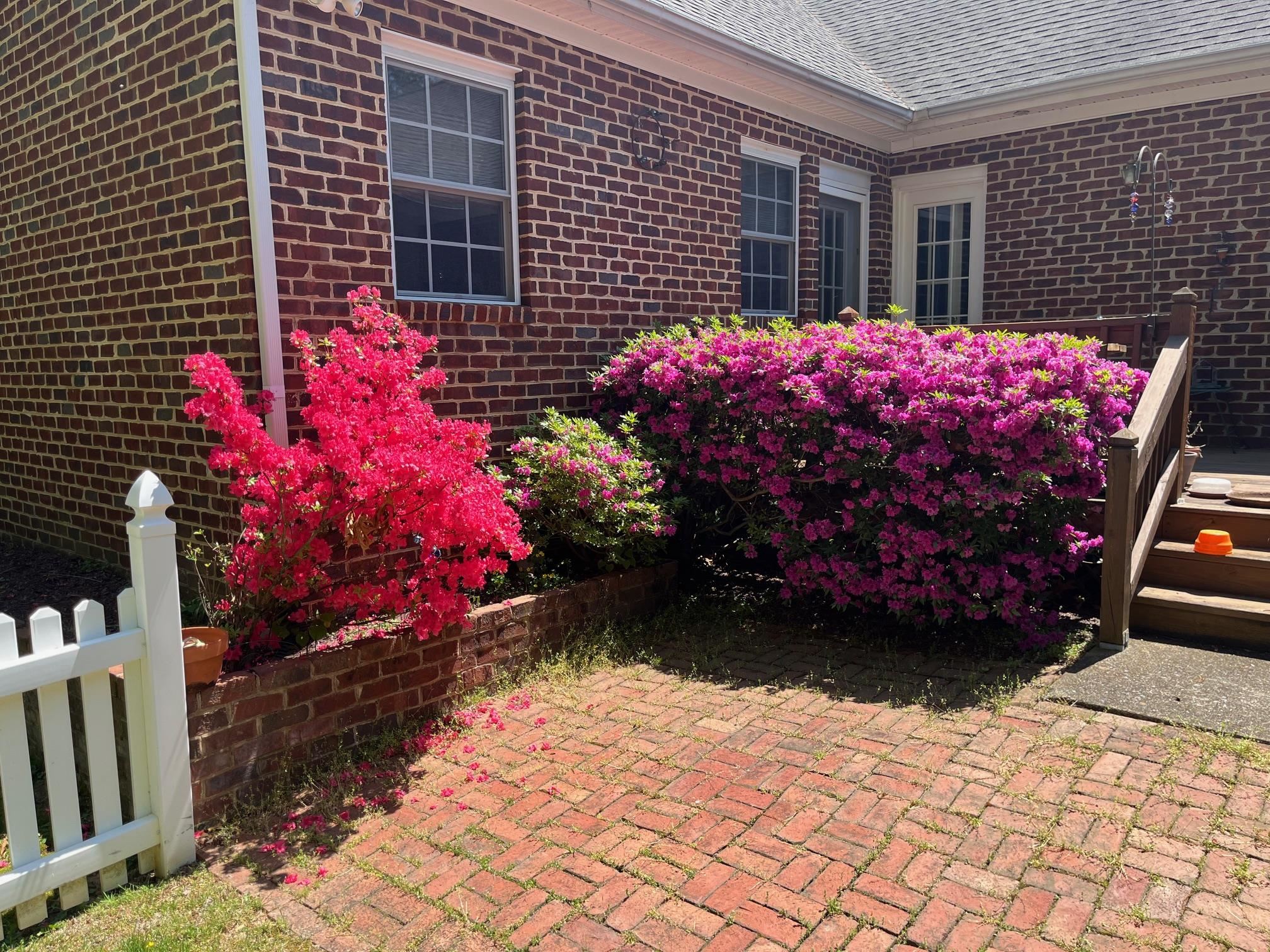 1872 B Spring Hill Road Staunton, VA 24401 - Photo 58 of 71 Gallery Image 58