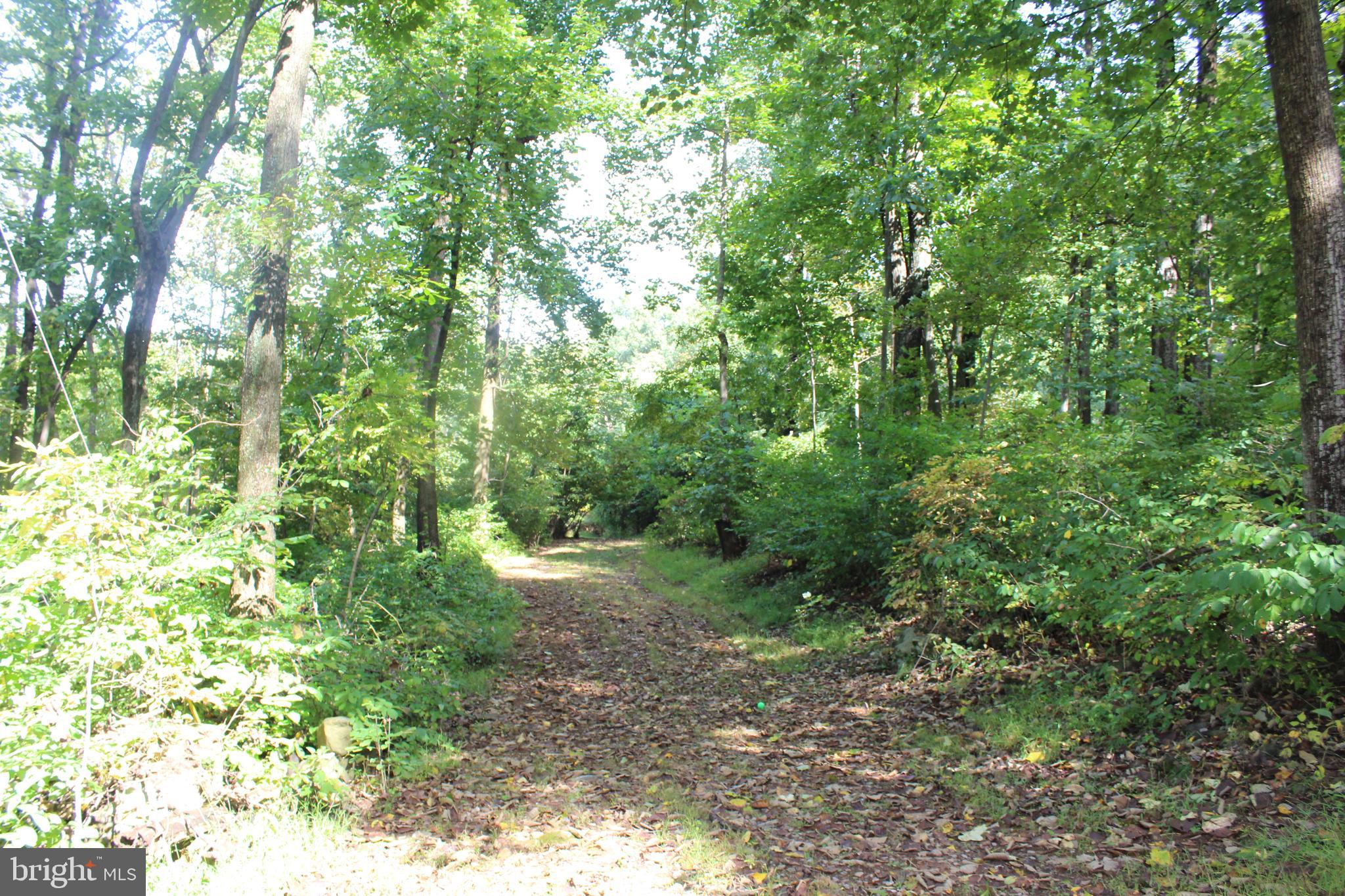 0 Indian Pipes Road Linden, VA 22642 - Photo 1 of 13 Indian Pipe