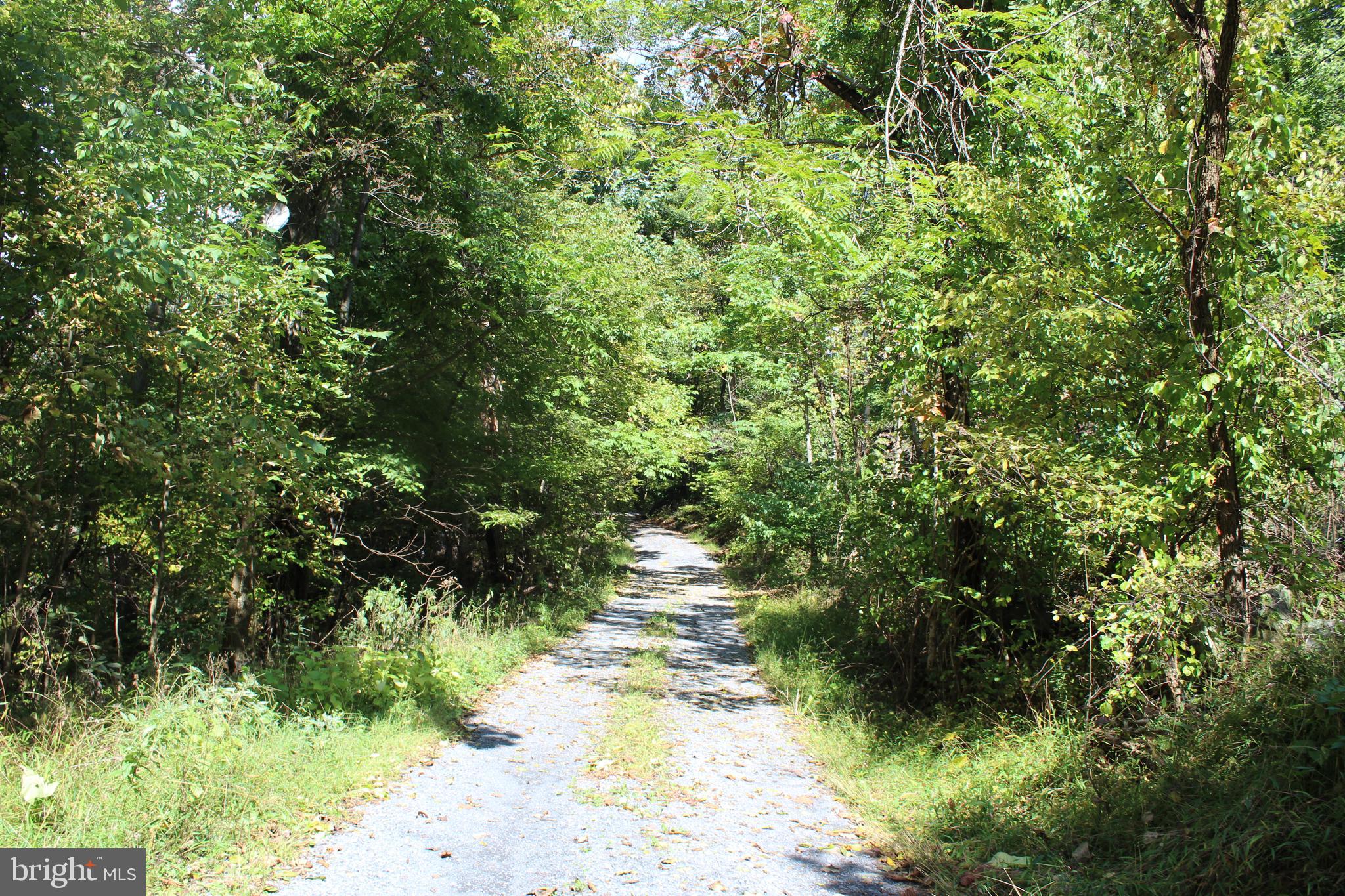 0 Indian Pipes Road Linden, VA 22642 - Photo 12 of 13 Rocky Springs