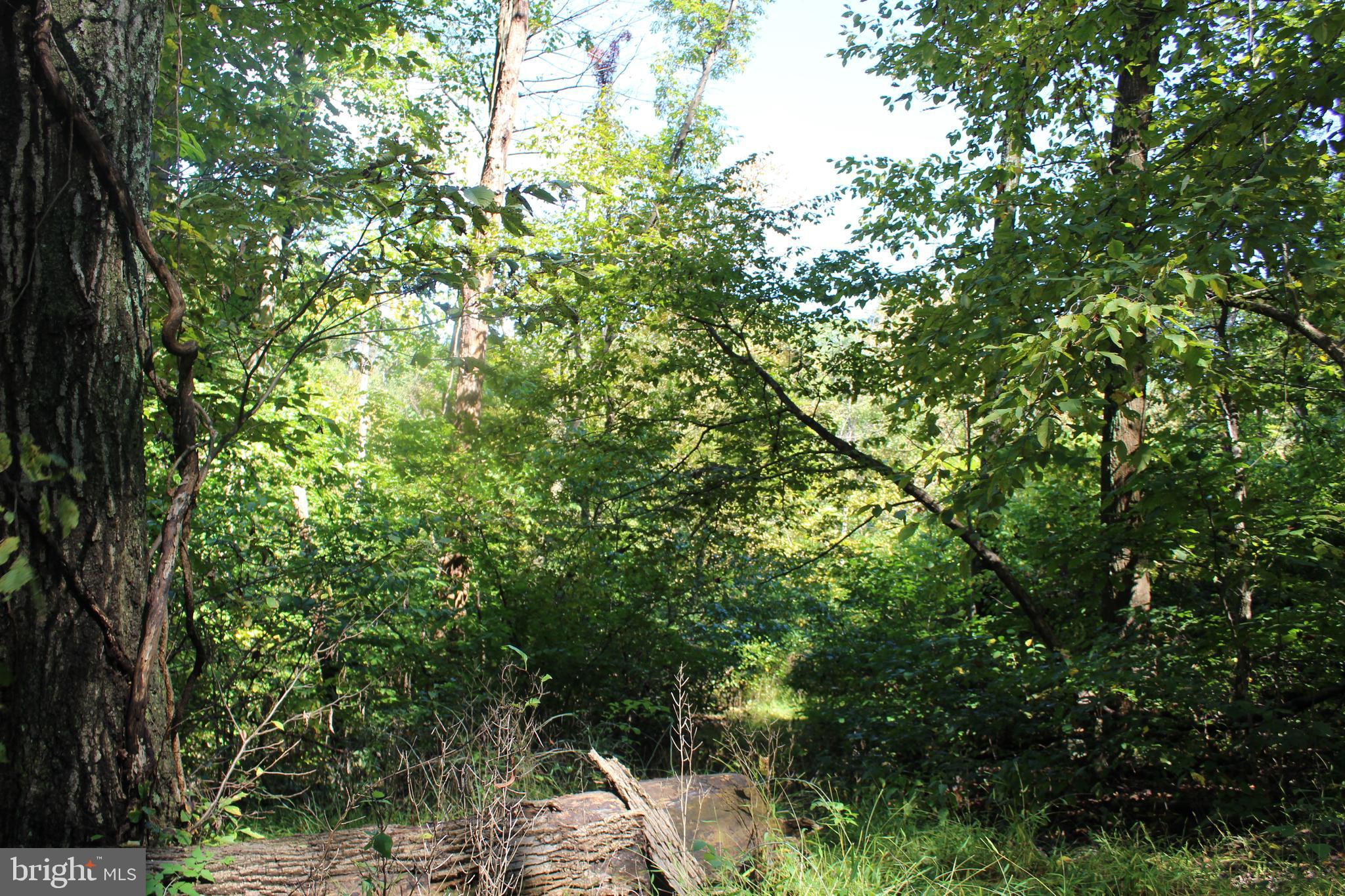 0 Indian Pipes Road Linden, VA 22642 - Photo 8 of 13 Topography