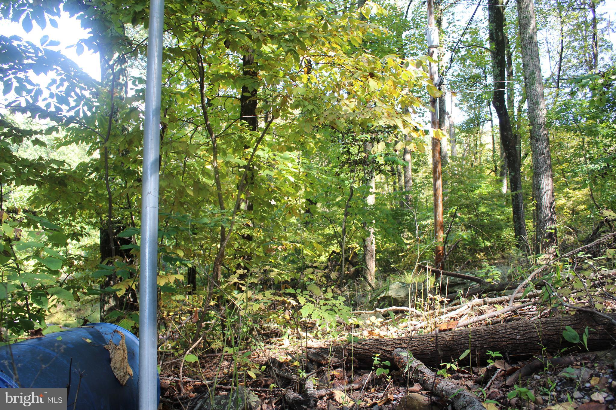 0 Indian Pipes Road Linden, VA 22642 - Photo 9 of 13 Corner Lot begins