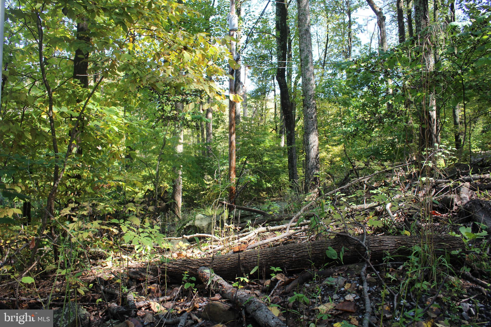 0 Indian Pipes Road Linden, VA 22642 - Photo 10 of 13 Topography