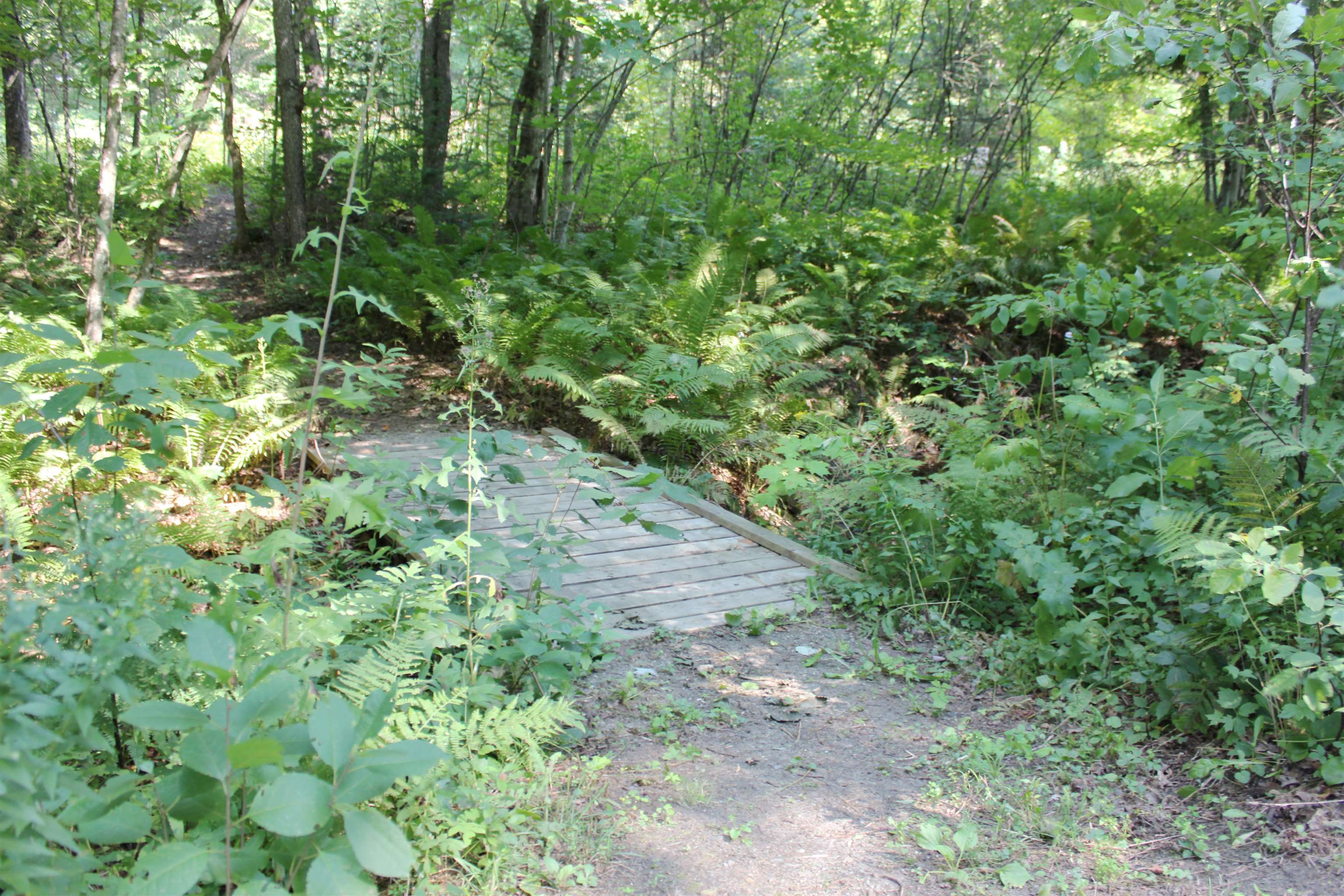 5088 Creek Road Albany, VT 05827 - Photo 36 of 40 Gallery Image 36