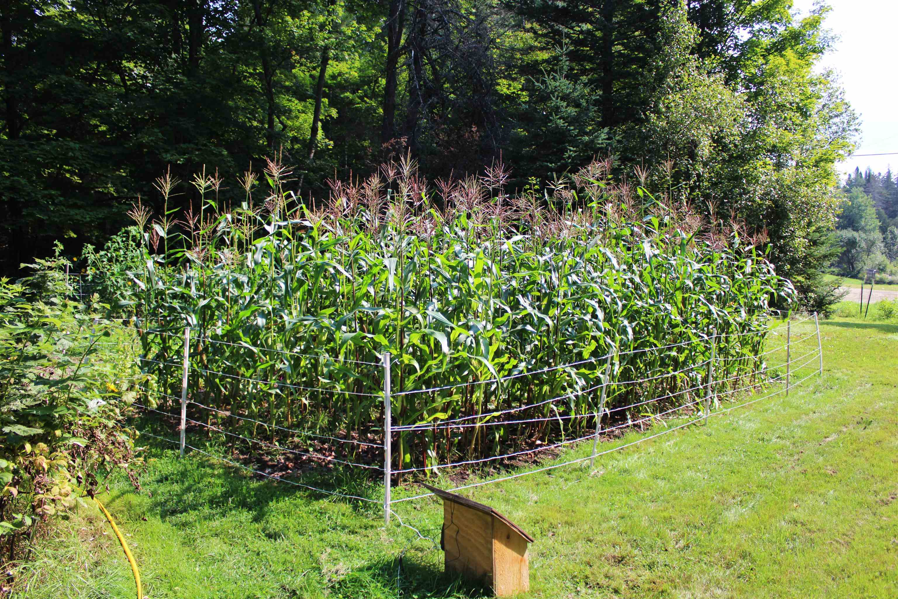 5088 Creek Road Albany, VT 05827 - Photo 38 of 40 Gallery Image 38