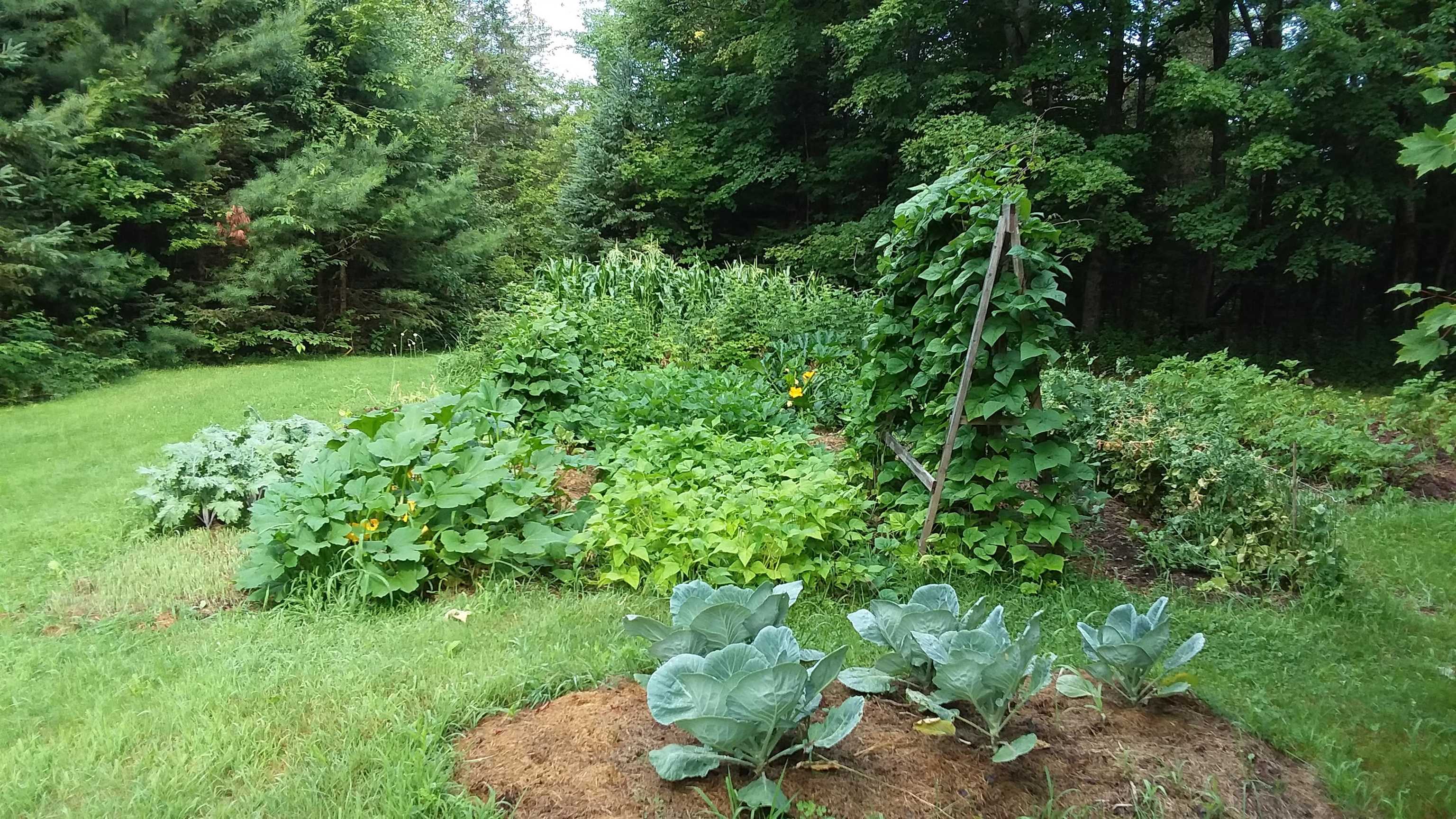 5088 Creek Road Albany, VT 05827 - Photo 40 of 40 Gallery Image 40