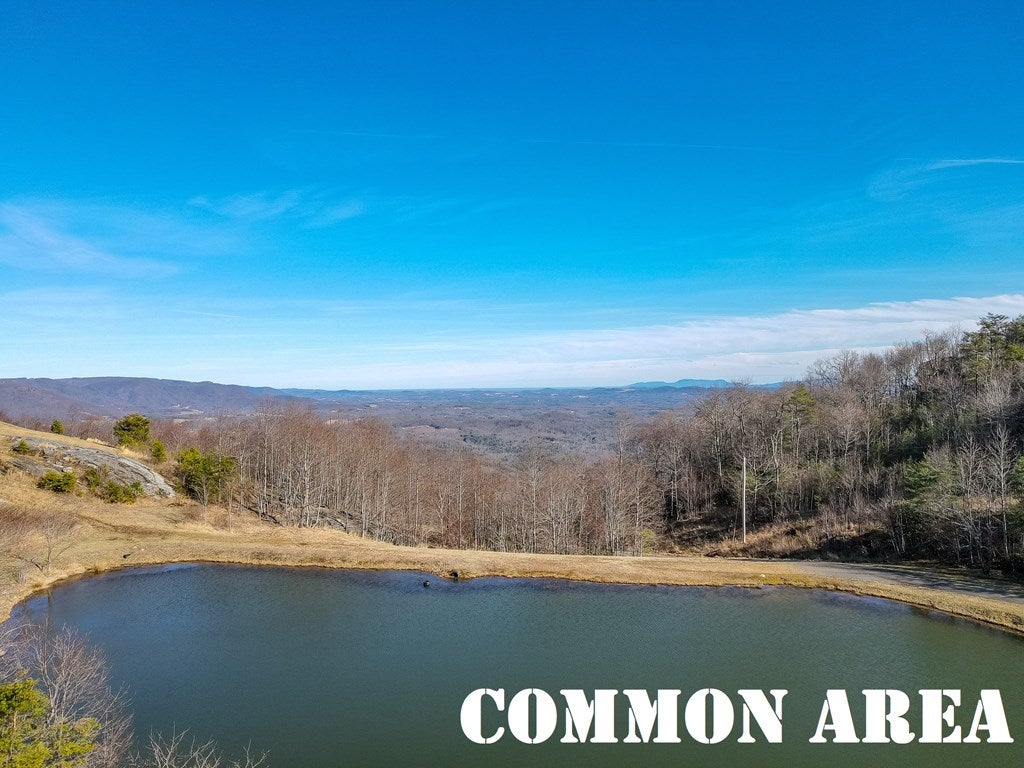 Cc Spring Pond Trail, Unit CC Fancy Gap, VA 24328 - Photo 43 of 46 Gallery Image 43