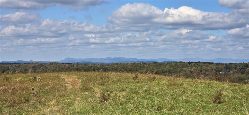 1350 Stivers Road Jasper, GA 30143 - Photo 1 of 70