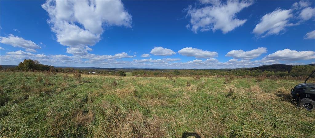 1350 Stivers Road Jasper, GA 30143 - Photo 16 of 70 a view of a fireplace in between the room and wooden floor