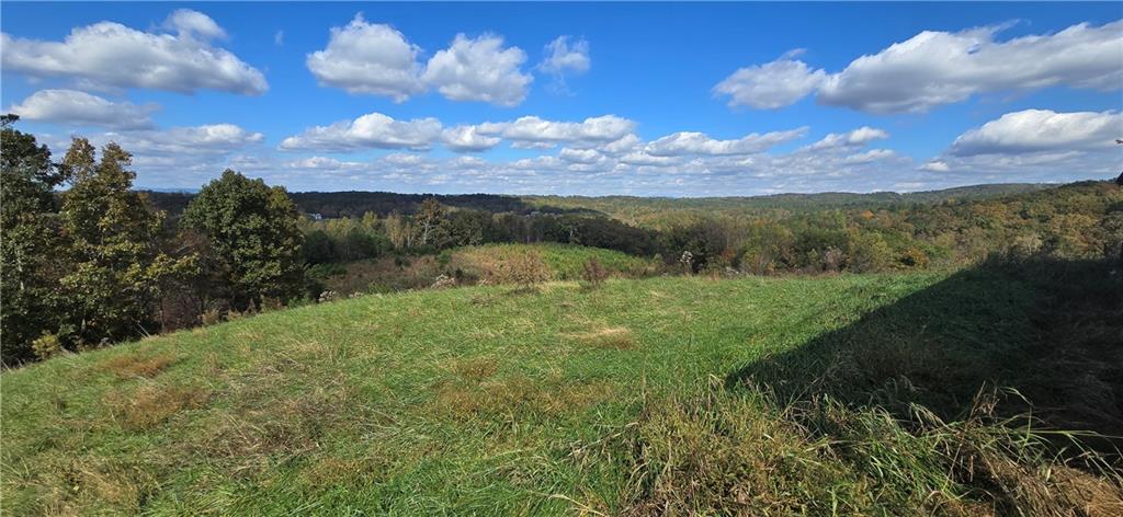 1350 Stivers Road Jasper, GA 30143 - Photo 19 of 70