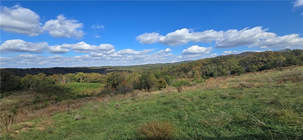 1350 Stivers Road Jasper, GA 30143 - Photo 20 of 70 a view of mountain with sunset in background