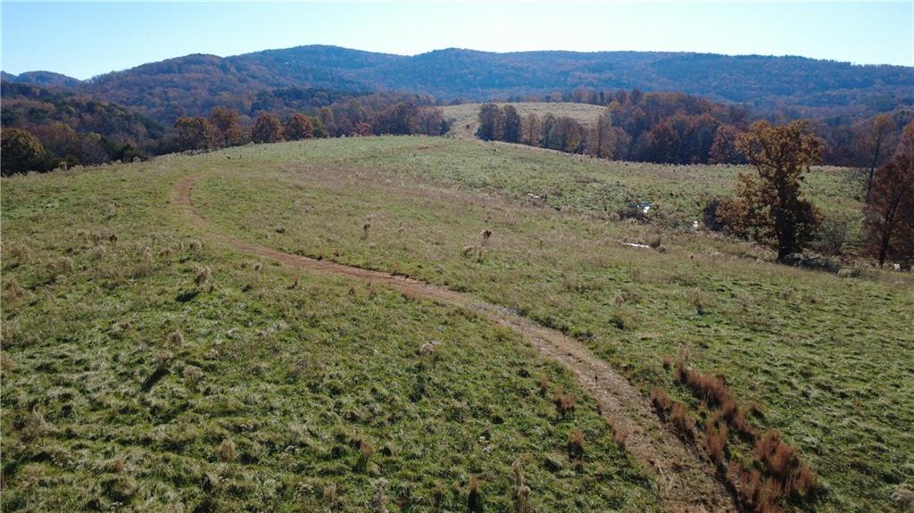 1350 Stivers Road Jasper, GA 30143 - Photo 2 of 70 a view of a yard with a mountain