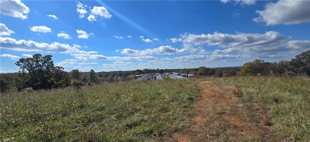 1350 Stivers Road Jasper, GA 30143 - Photo 22 of 70 a view of a lake in middle of forest
