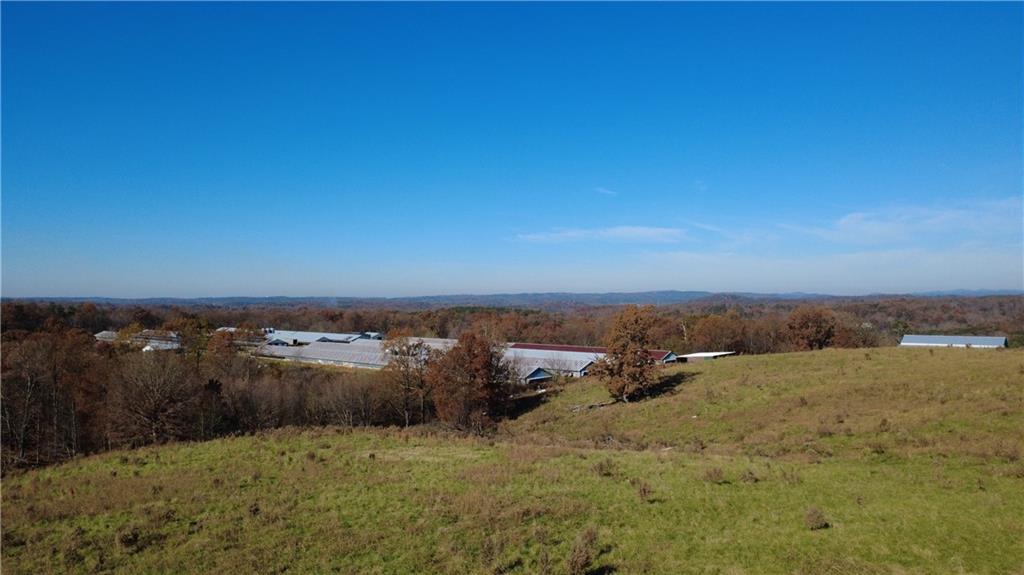 1350 Stivers Road Jasper, GA 30143 - Photo 38 of 70