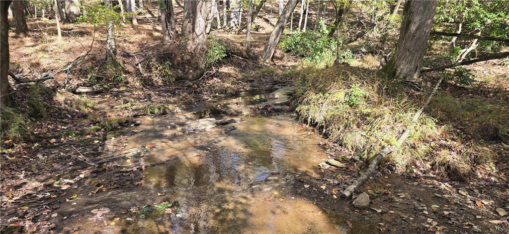 1350 Stivers Road Jasper, GA 30143 - Photo 44 of 70