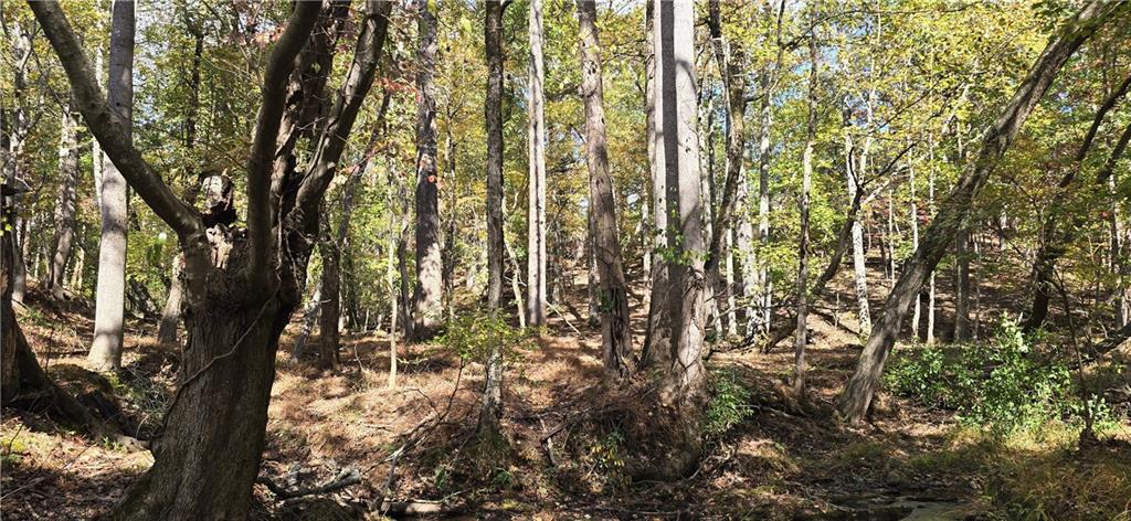 1350 Stivers Road Jasper, GA 30143 - Photo 46 of 70