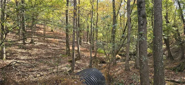 a kitchen with a stove and a microwave