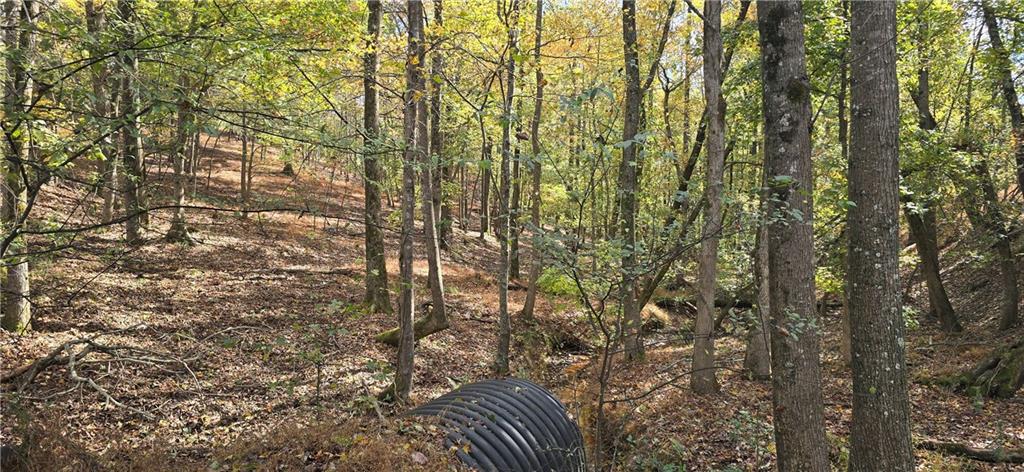 1350 Stivers Road Jasper, GA 30143 - Photo 47 of 70 a view of outdoor space and covered space