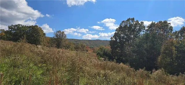 a view of a lake and mountain in the background