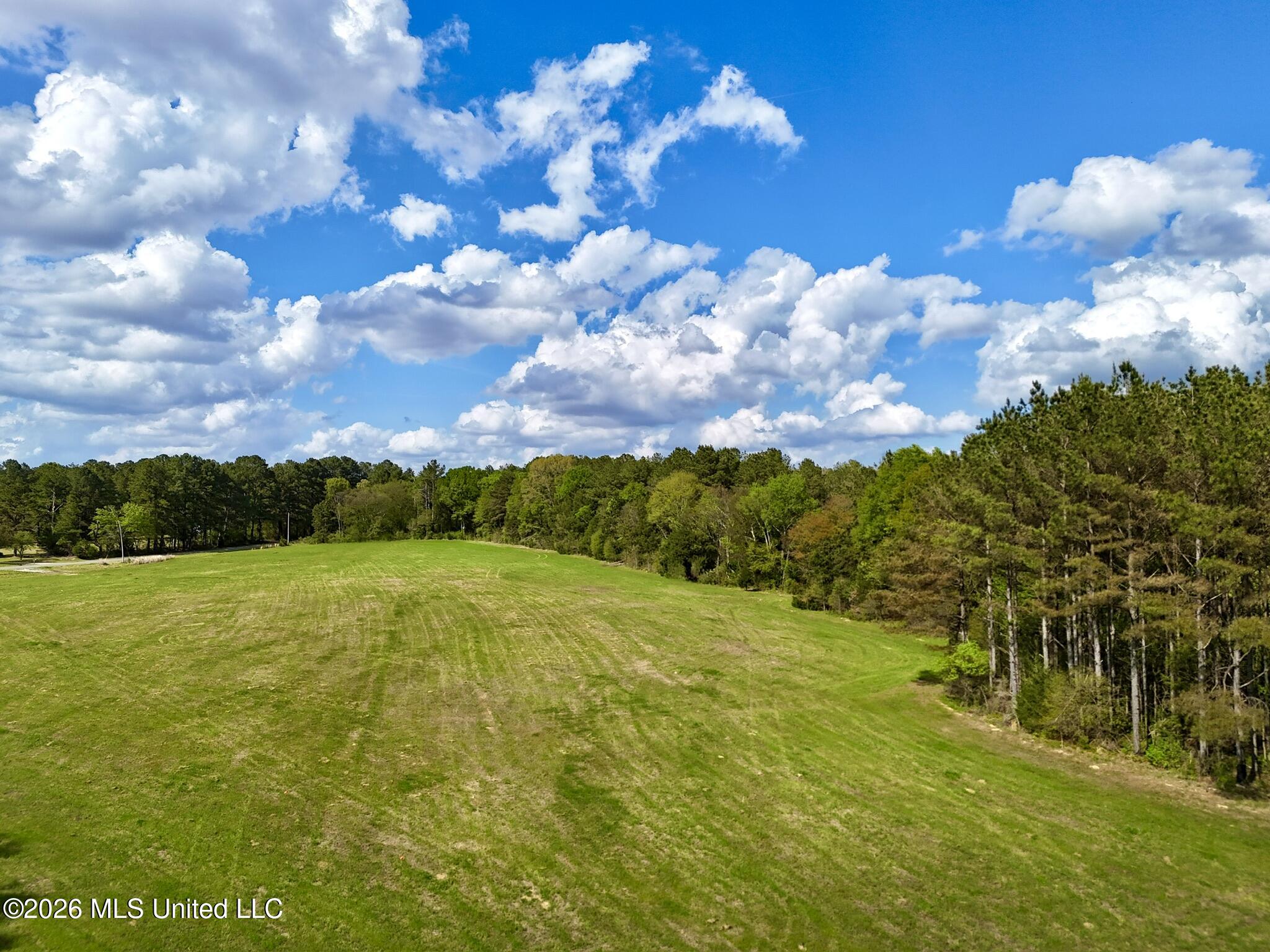 875 Stump Bridge Road Canton, MS 39046 - Photo 11 of 21 E5638AA0-732F-48C6-A180-06E755AE1DE1_1_1