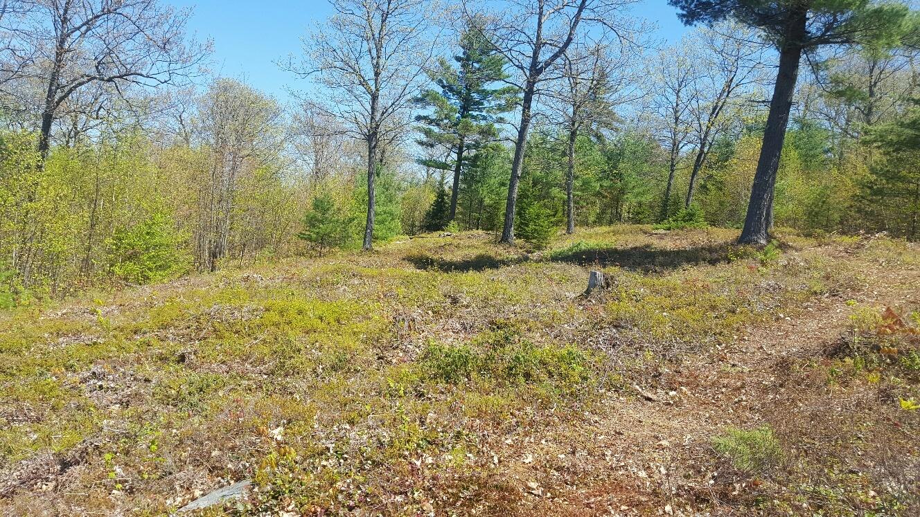 87 Stevens Road Stoneham, ME 04231 - Photo 10 of 19 januumsbuildingarea