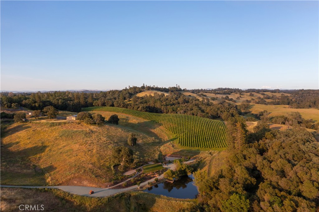 15000 Tyler Road Fiddletown, CA 95629 - Photo 6 of 10