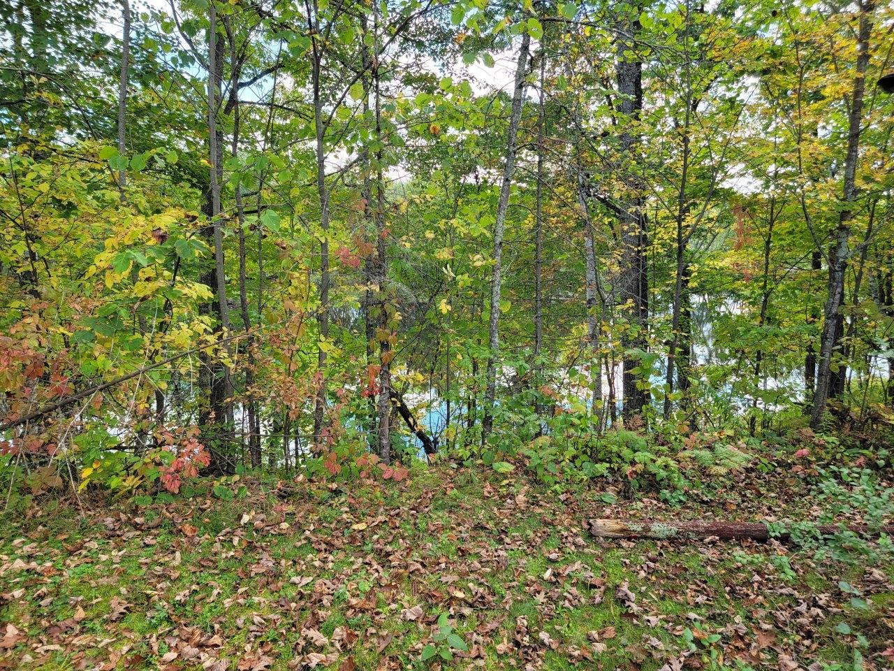 6733 Golf Course Road Winter, WI 54896 - Photo 43 of 54