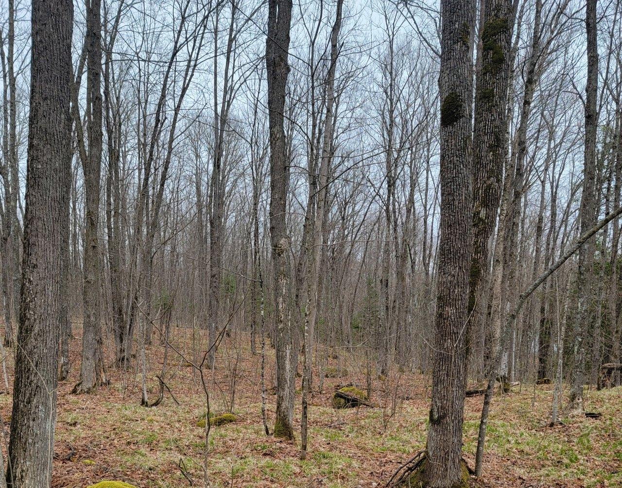 7213 Smith Road Winter, WI 54896 - Photo 17 of 27 Gallery Image 17
