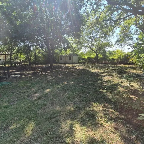 a view of a yard with a tree