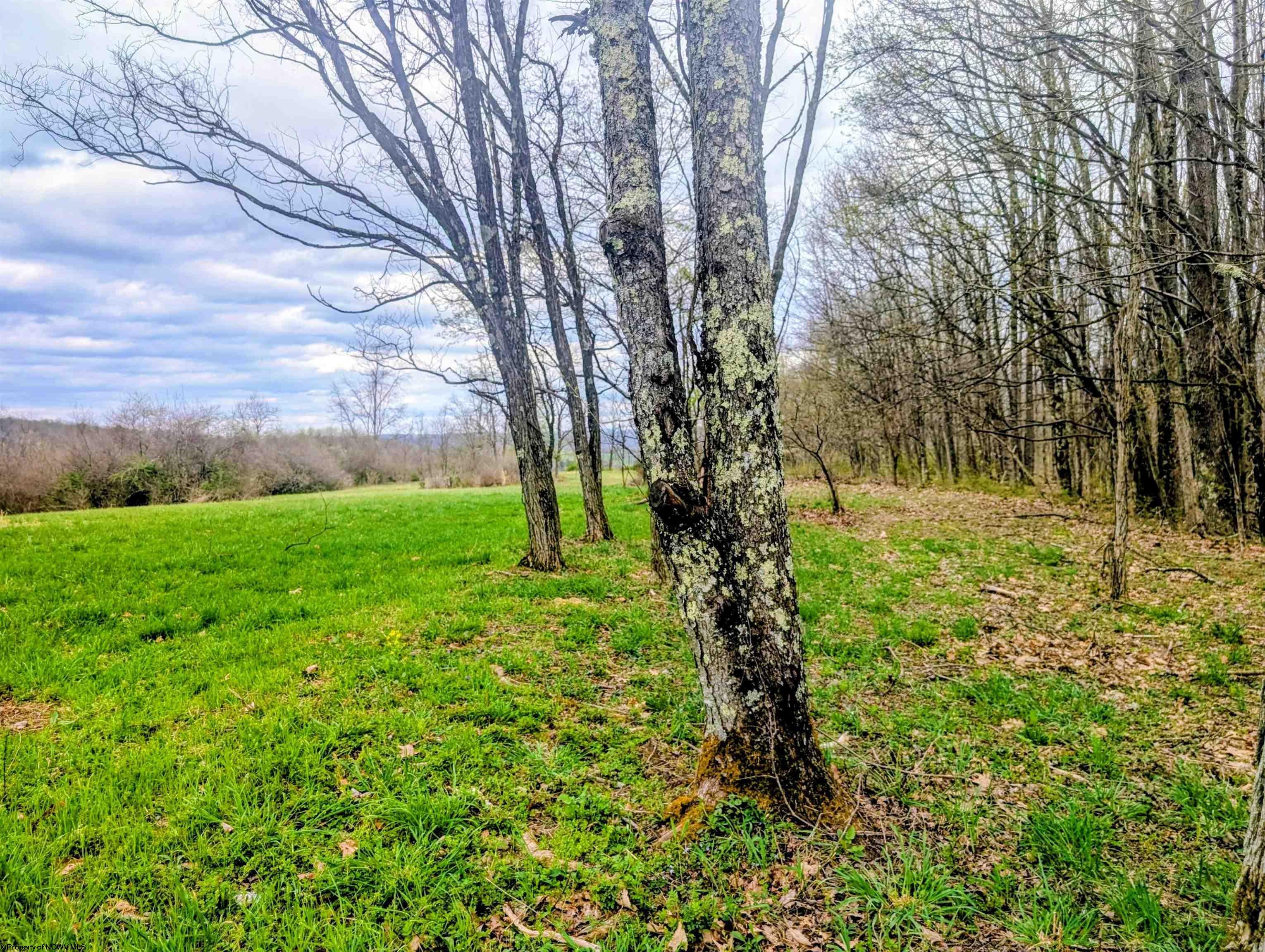 Lot 13 Sand Bank Road Morgantown, WV 26508 - Photo 6 of 13 Gallery Image 6