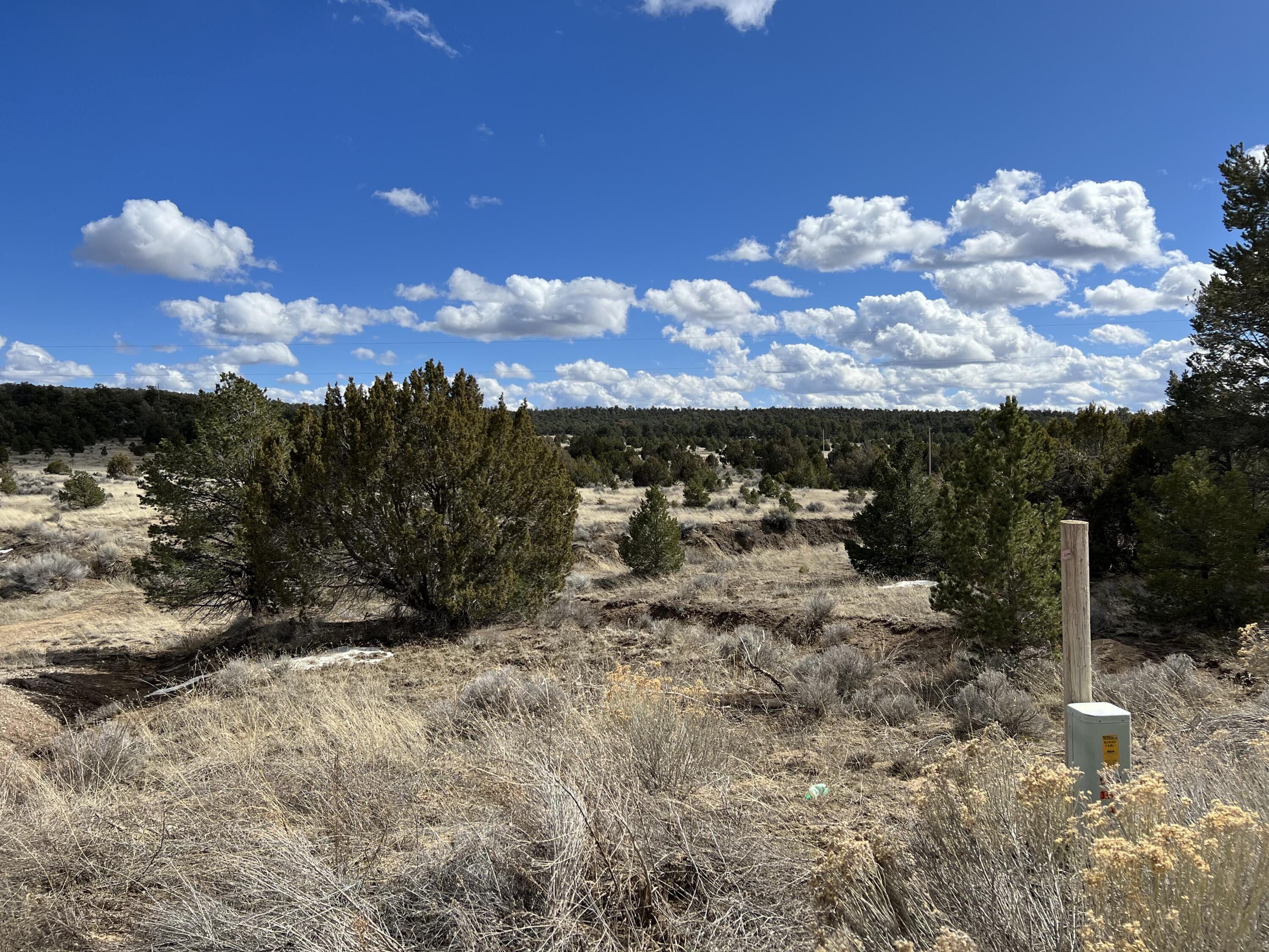 Lot 14 Candy Kitchen Road Ramah, NM 87357 - Photo 15 of 41 Gallery Image 15