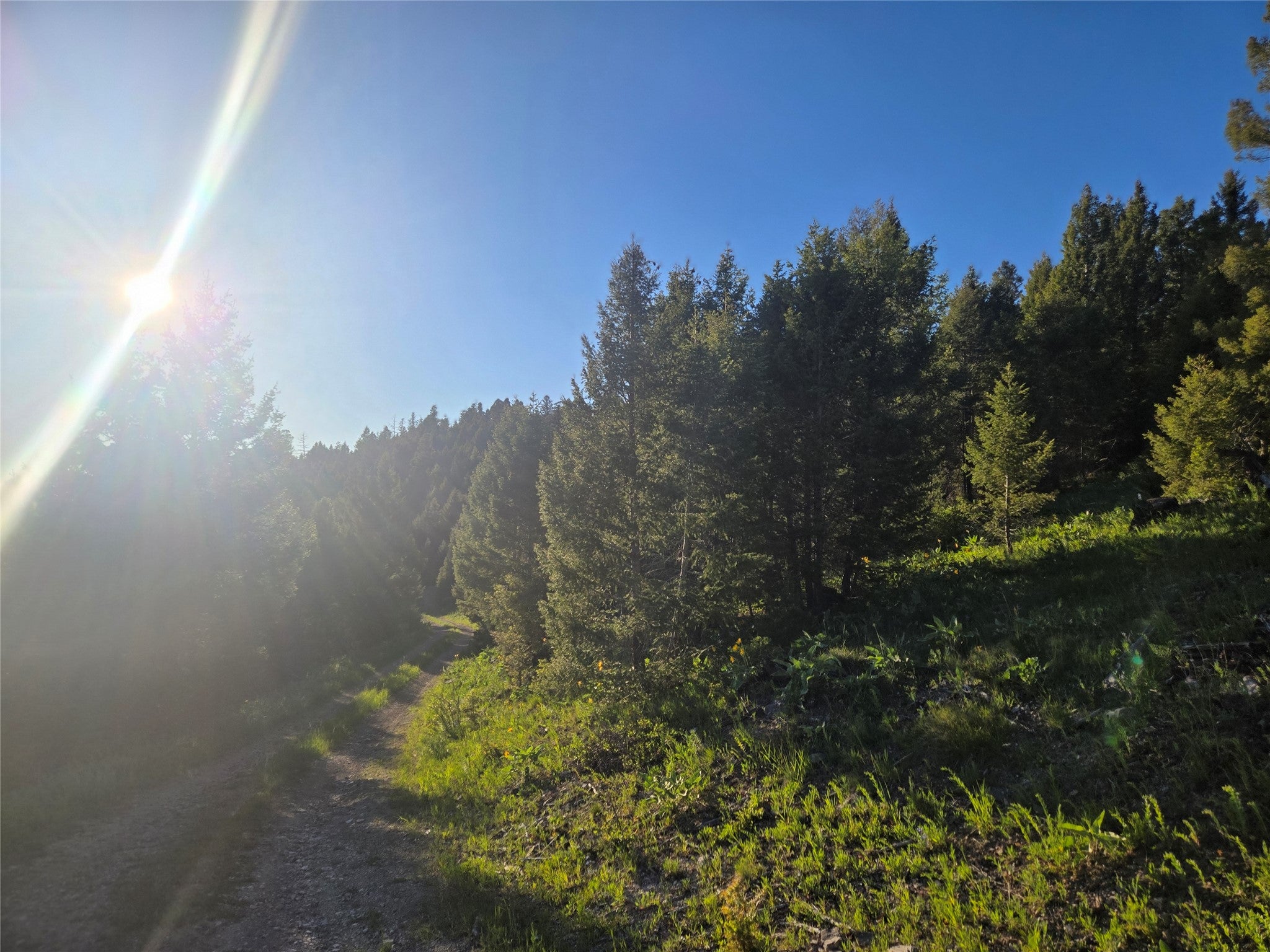 1 Big Sky Ridge Road Drummond, MT 59832 - Photo 9 of 13 Gallery Image 9