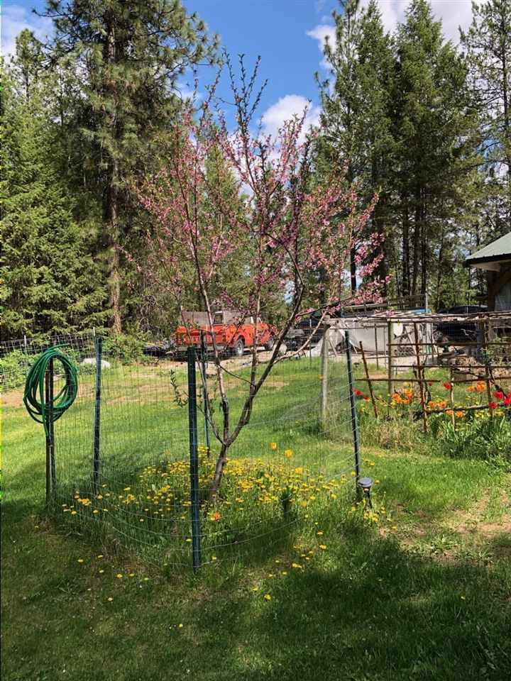 4186 Cemetery Road Springdale, WA 99173 - Photo 6 of 13