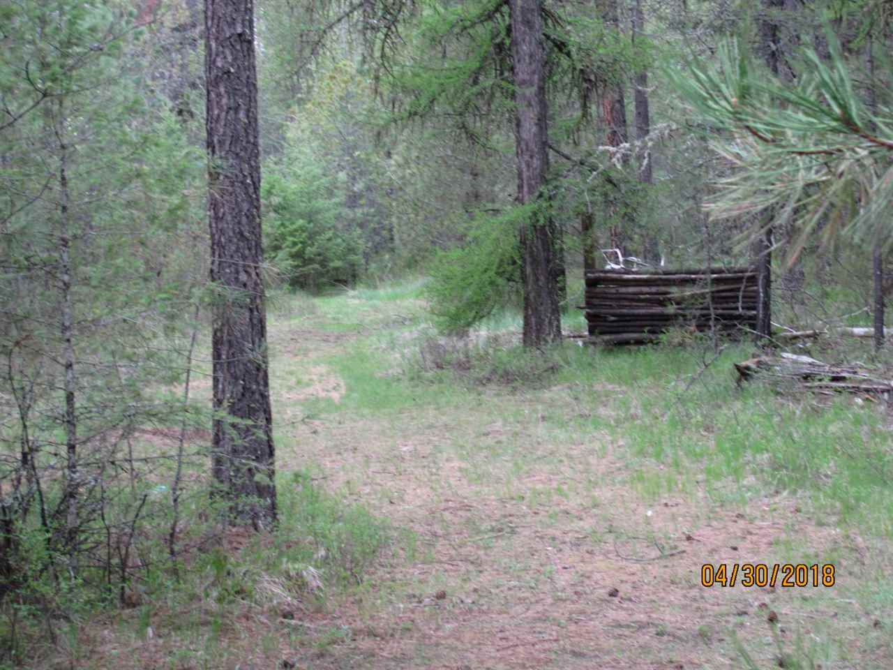 4186 Cemetery Road Springdale, WA 99173 - Photo 7 of 13
