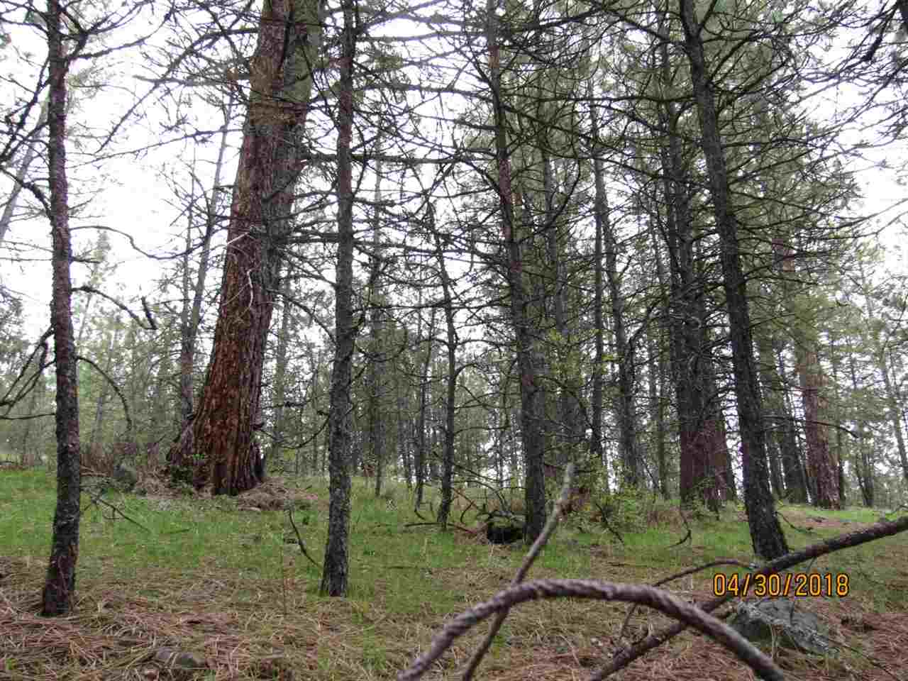 4186 Cemetery Road Springdale, WA 99173 - Photo 8 of 13