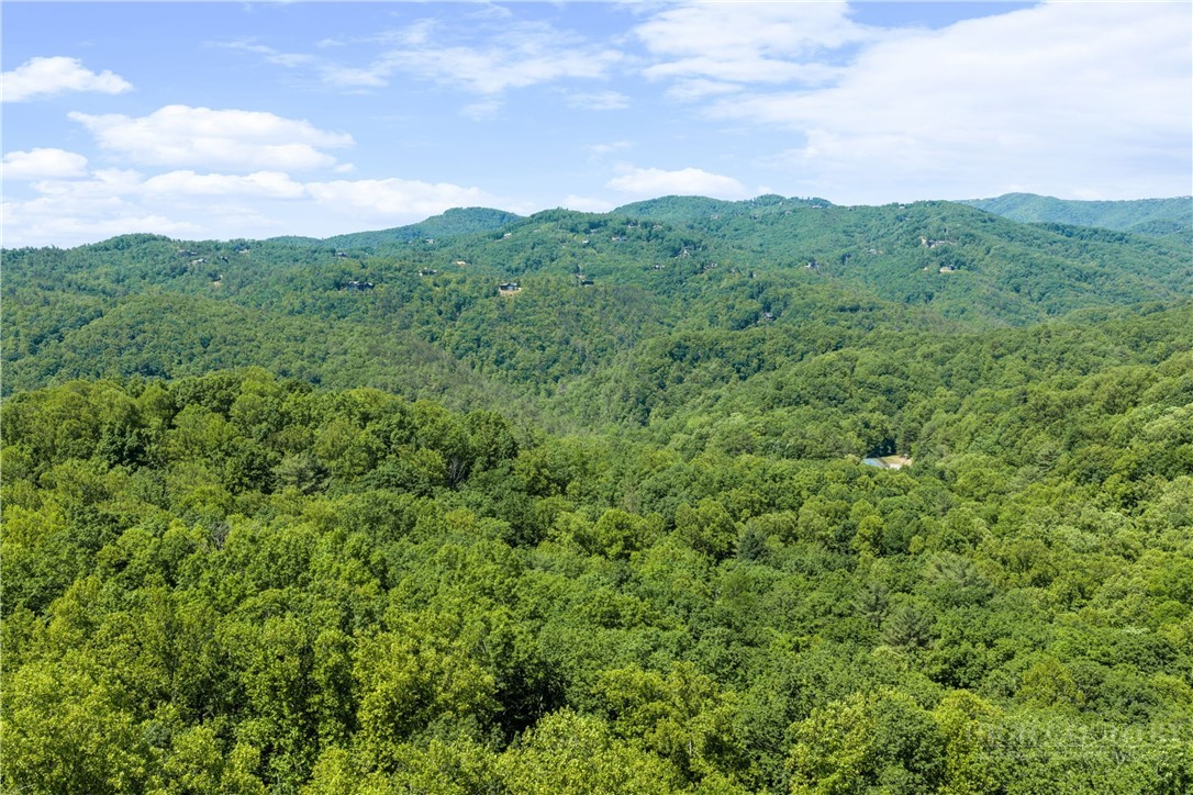 467 Horseshoe Ridge Road East Deep Gap, NC 28618 - Photo 33 of 46 a view of a green field with lots of bushes