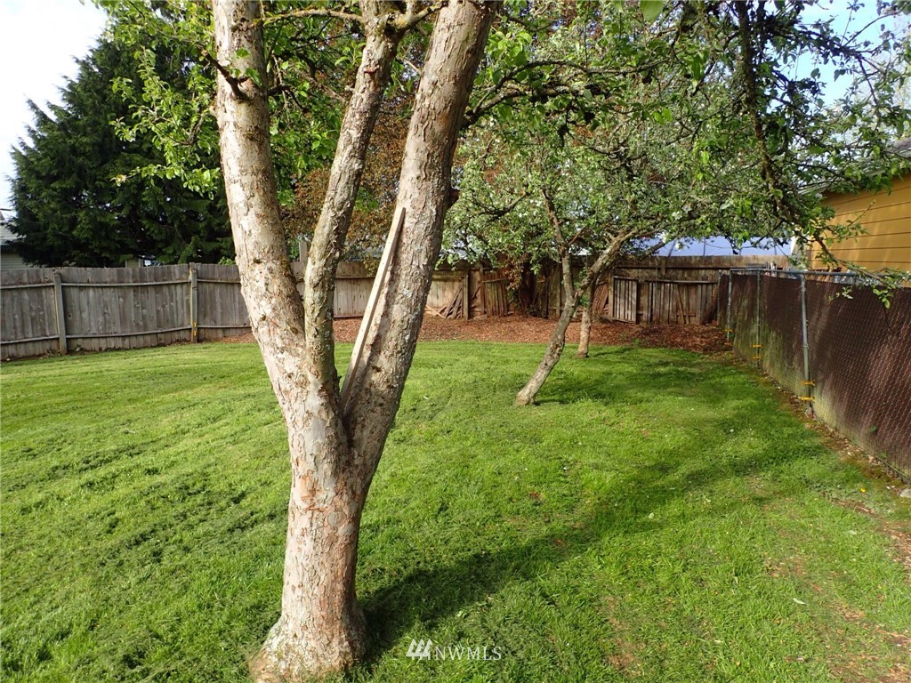 11756 Southeast 158th Place Renton, WA 98058 - Photo 21 of 22 Gallery Image 21