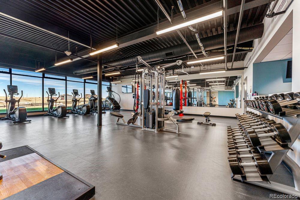 3867 Freestone Point Castle Rock, CO 80108 - Photo 26 of 38 a view of a studio with wooden floor