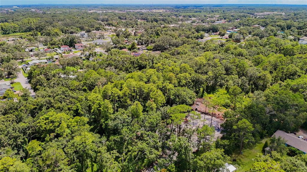 Anno Street Tampa, FL 33625 - Photo 11 of 14 an aerial view of residential houses with outdoor space and trees