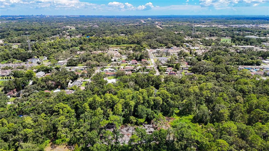 Anno Street Tampa, FL 33625 - Photo 12 of 14 an aerial view of residential house with green space