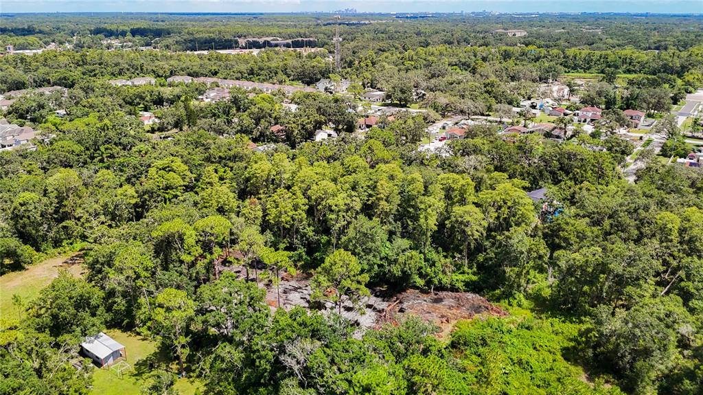 Anno Street Tampa, FL 33625 - Photo 13 of 14 an aerial view of a houses with a yard