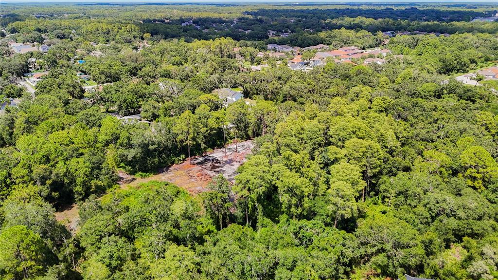 Anno Street Tampa, FL 33625 - Photo 14 of 14 a view of a green field