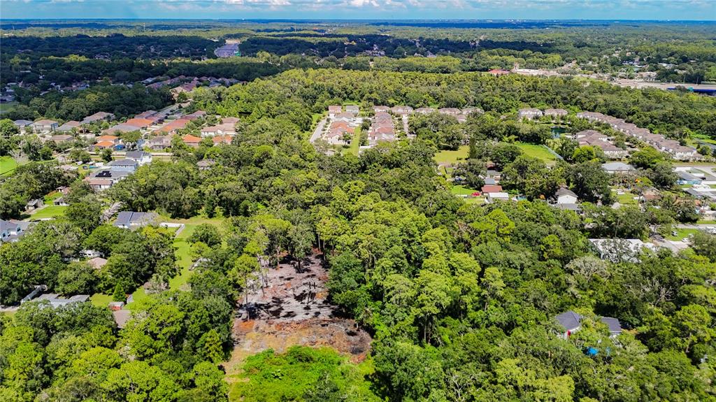 Anno Street Tampa, FL 33625 - Photo 4 of 14 an aerial view of a house with a yard