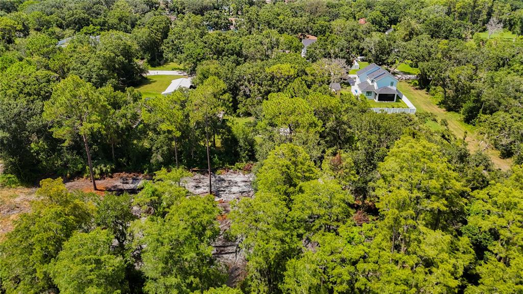 Anno Street Tampa, FL 33625 - Photo 7 of 14 a view of a lake with a tree