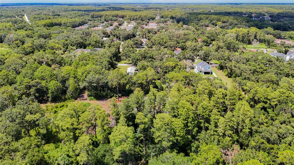 Anno Street Tampa, FL 33625 - Photo 9 of 14 an aerial view of parked car with trees in the background