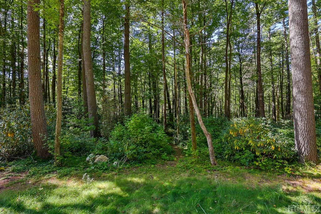 Lot 82 Flagstone Road Sapphire, NC 28774 - Photo 23 of 44 Gallery Image 23