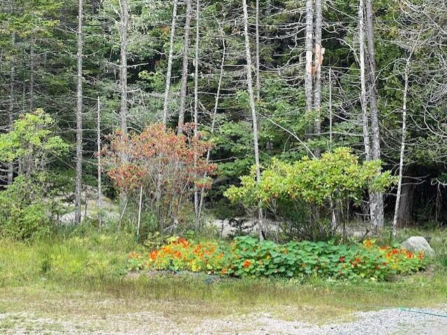 604 Duck Cove Road Roque Bluffs, ME 04654 - Photo 30 of 30