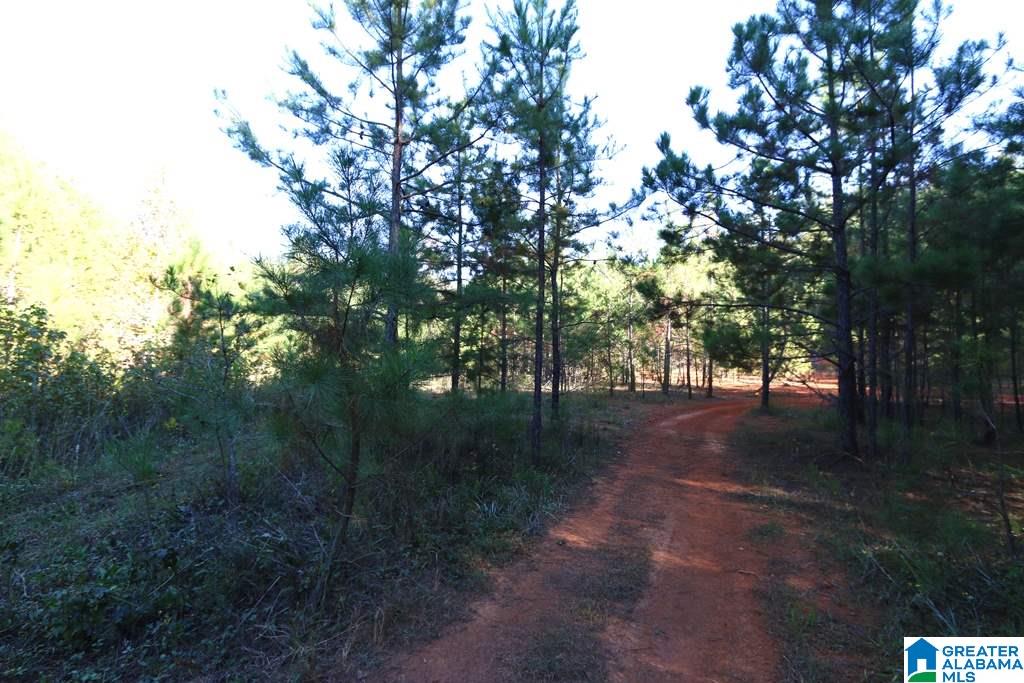 Miracle Hills Road, Unit 100 Springville, AL 35146 - Photo 27 of 29