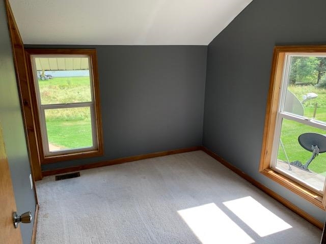 10541 Townline Road Lakeview, MI 48850 - Photo 8 of 17 1892836-7.JPG